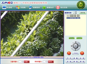 物聯(lián)網(wǎng)技術(shù)在霧培蔬菜工廠上的創(chuàng)新應(yīng)用與研發(fā)進展